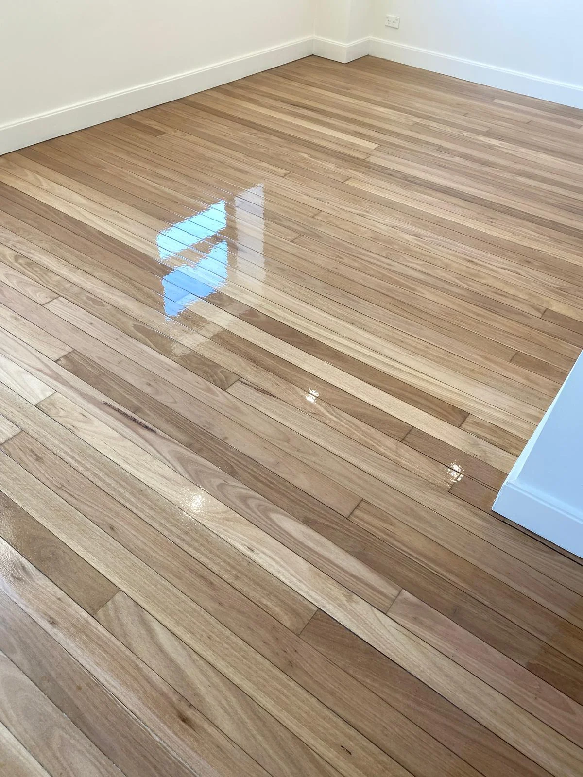 Randwick Renovation project image